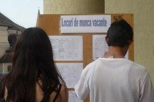 AJOFM: Locuri noi de muncă pentru pădurar, profesor și telefonist