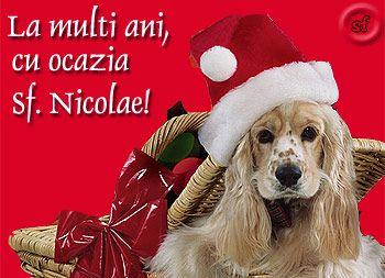 Dorohoi News vă urează La mulți ani de Sfântul Nicolae