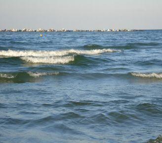 Marea Neagră este în pericol