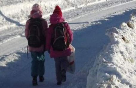 Elevii din Dorohoi se vor reîntoarce la cursuri vineri