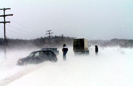Directorul DJDP, Sorin Alin Clim şi adjunctul acestuia, Cătălin Gheorghian, au rămas înzapeziţi!