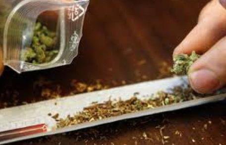 Decizie istorică luată de Olanda