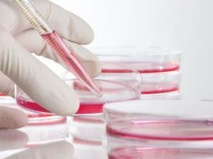 Cum se testează funcțiile hepatice