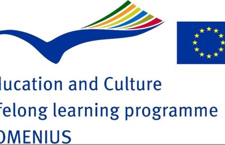 Parteneriate școlare multilaterale desfășurate la Școala Cristinești, în cadrul programului Comenius 