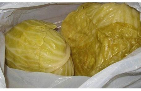 Varza murată, plină de vitamina C