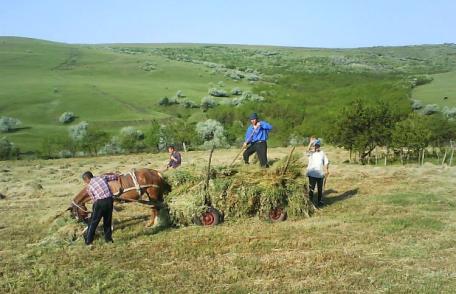 Ministerul Finanţelor inventează un nou impozit. Vezi pe cine va afecta