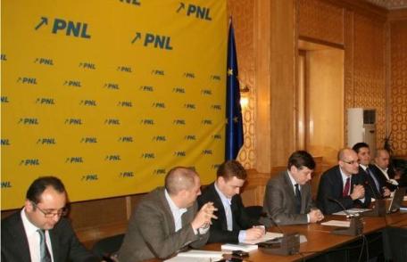 TNL a început campania pentru alegerile prezidențiale 