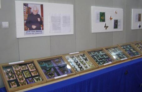 Expoziție de Fluturi exotici la Muzeul de Științele Naturii Dorohoi - FOTO
