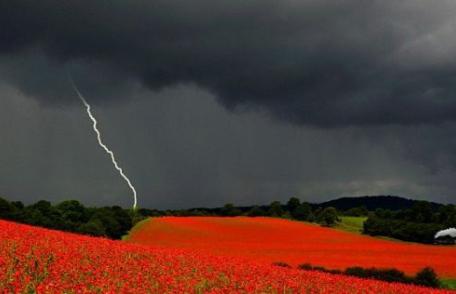 DRAMĂ: A câștigat premiul dorit în ziua înmormântării