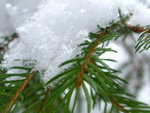 Vremea continuă să fie caldă până miercuri, când va urma o răcire accentuată