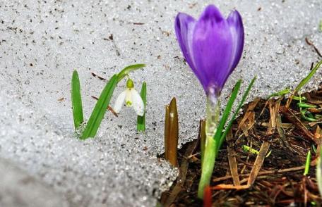 Cum va fi vremea de 1 martie. Prognoza meteo pentru fiecare regiune a ţării