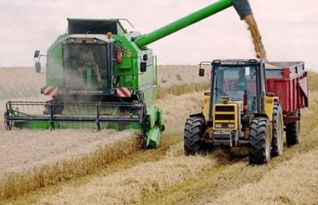 După ce a exportat, România importă acum grâu cu 30% mai scump