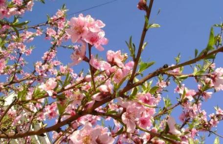 Superstiţii despre luna martie