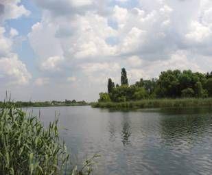 Pescarii ajuta sinistratii din Dorohoi 