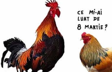 Câţi bani au cheltuit dorohoienii pentru 8 Martie. Vezi rezultatul sondajului!    