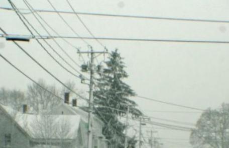 Vântul puternic a lăsat fără energie electrică 11 localităţi din județul Botoșani