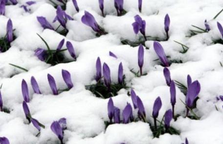 Când a fost cel mai frig în martie în România