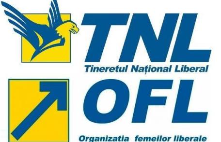 TNL și OFL Dorohoi își aleg duminică liderii