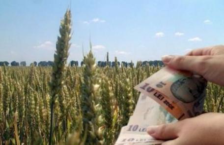 Sistemul de impozitare în agricultură a fost revizuit. Vezi cine va fi scutit de impozit