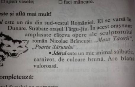 Gafă impardonabilă într-un manual şcolar