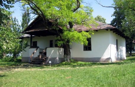 Expoziţie temporară de bunuri culturale din patrimoniul Memorialului Ipoteşti - FOTO