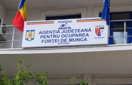 AJOFM: Numarul şomerilor din judetul Botosani in scadere