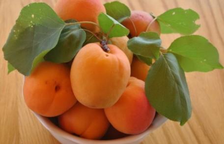 Caisele tratează inima, ochii şi pielea