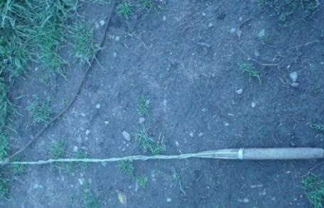 O femeie a ajuns la spital în stare gravă după ce a fost bătută cu un bici