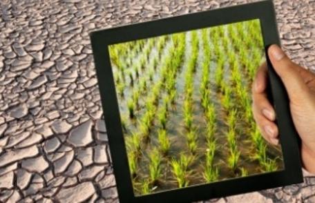 Veste excelentă pentru agricultori. „Este cea mai mare realizare a agriculturii româneşti din ultimii 10 ani”