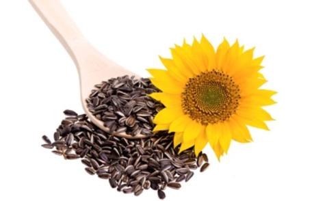 ORAŞUL din România care A INTERZIS mâncatul SEMINŢELOR