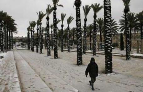 Iarnă în Brazilia. În unele oraşe a nins pentru prima dată în peste 30 de ani