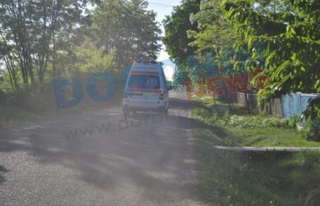 Copil din Hilișeu-Horia atacat de o pisică sălbatică