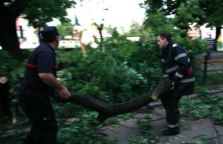 Pompierii intervin pentru înlăturarea efectelor produse de fenomenele meteorologice periculoase