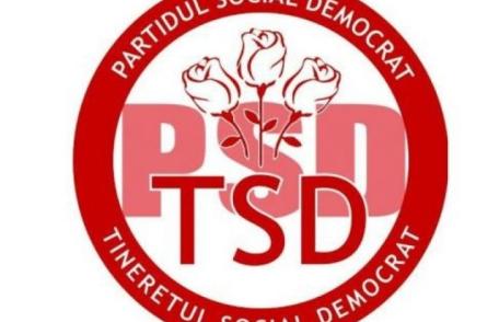 Luptă acerbă pentru şefia TSD: fina premierului, un cântăreţ şi un crescător de vipere sunt favoriţii