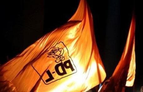 PDL îşi face guvern din umbră