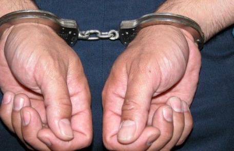 Suspect de comiterea mai multor furturi, depistat de poliţiştii botoșăneni