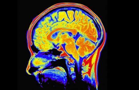 Cele mai eficiente metode să vă „ascuţiţi” mintea şi să preveniţi pierderile de memorie