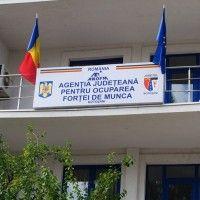 Numarul total de şomeri aflati in evidenta la AJOFM Botoşani la sfarşitul lunii noiembrie