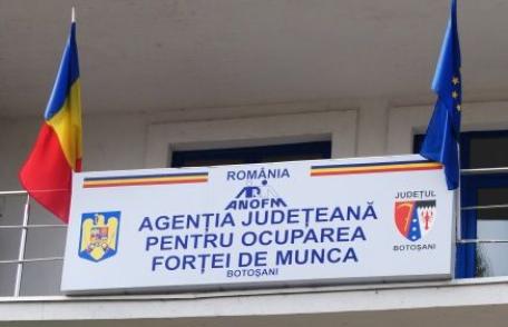 200 locuri de munca oferite de angajatorii sudezi in domeniul forestier