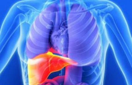 Ficatul este o victimă a modului greşit de a ne alimenta