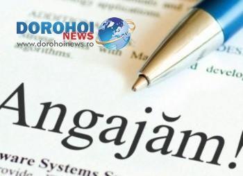 AJOFM: Locuri noi de muncă la Inspectoratul Școlar Județean și la Filarmonica de Stat