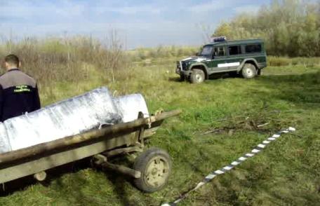 Ţigări de contrabandă în valoare de 50.000 lei reţinute de poliţiştii de frontieră