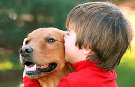 Câinii de companie protejează copiii de alergii - studiu