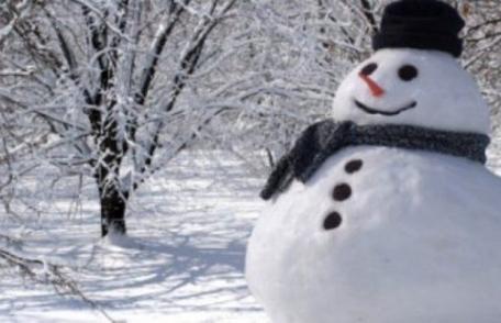 Ninsori slabe în majoritatea regiunilor, de Crăciun. Vezi prognoza meteo până în 29 decembrie