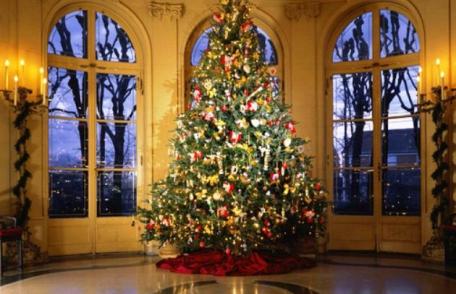 Când se împodobeşte bradul de Crăciun
