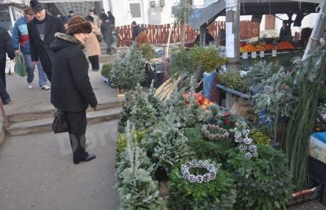 Vezi prețurile la care dorohoienii pot achiziționa un brad de Crăciun - FOTO