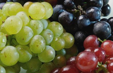 Grădina Verde vă informează: Despre vițe mai mult sau mai puțin nobile