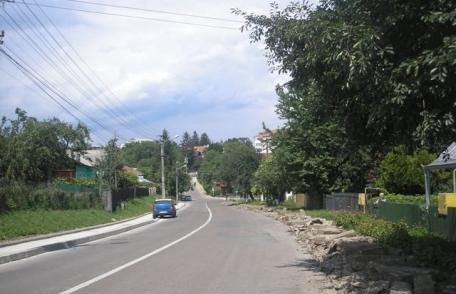 Dorohoi – File de istorie - Personalităţi din luna ianuarie: Manoliu C. Ion (1897-1925) - pictor