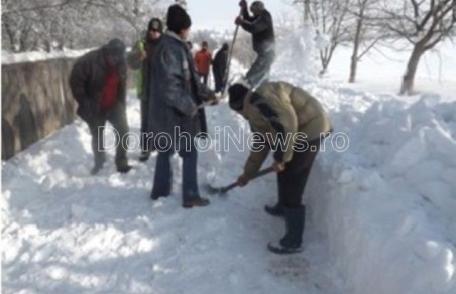 Un exemplu de urmat: Un grup de oameni din comuna Hilișeu-Horia a ieșit la deszăpezit manual ulițele satului