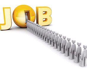 In perioada ianuarie – decembrie 2010 prin AJOFM Botosani s-au ocupat un numar total de 6.503 locuri de munca